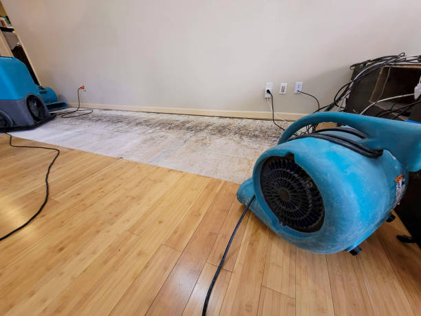 Professional Water Removal technician working in Randolph, NH